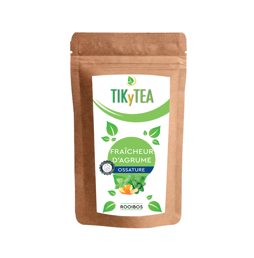 FRAÎCHEUR D'AGRUME - Orange & Menthe - TikyTea