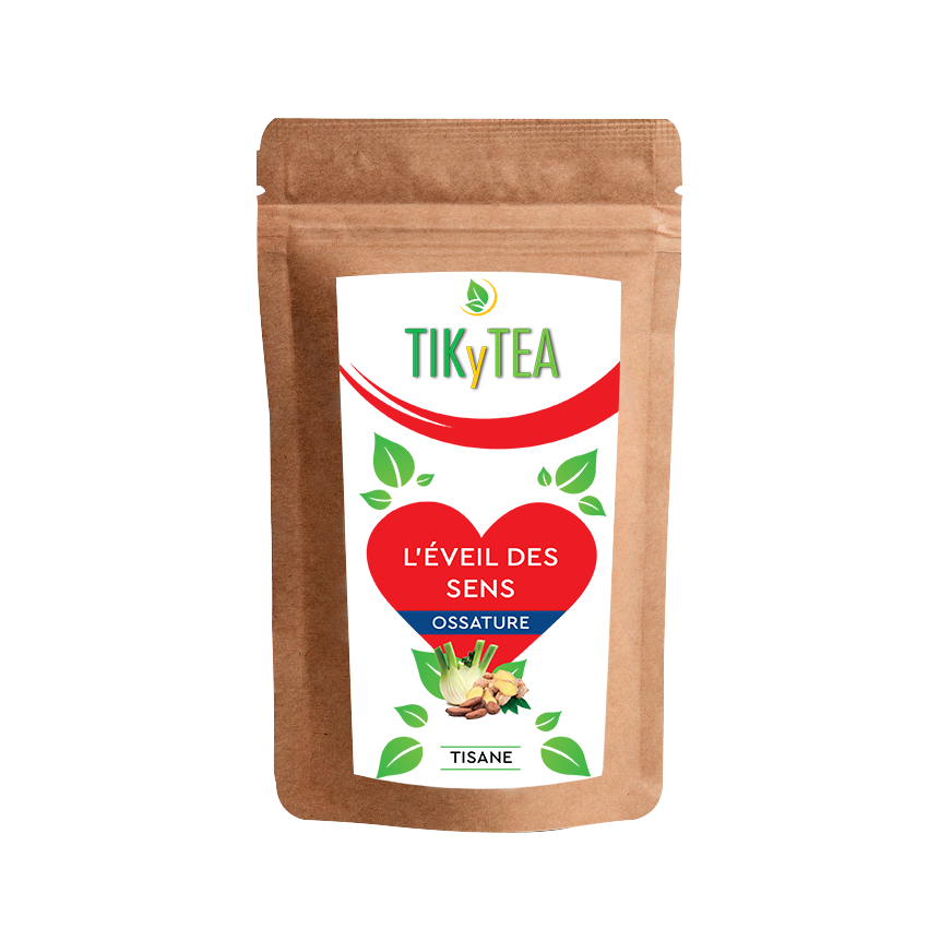 L'ÉVEIL DES SENS - Cacao & Gingembre - TikyTea